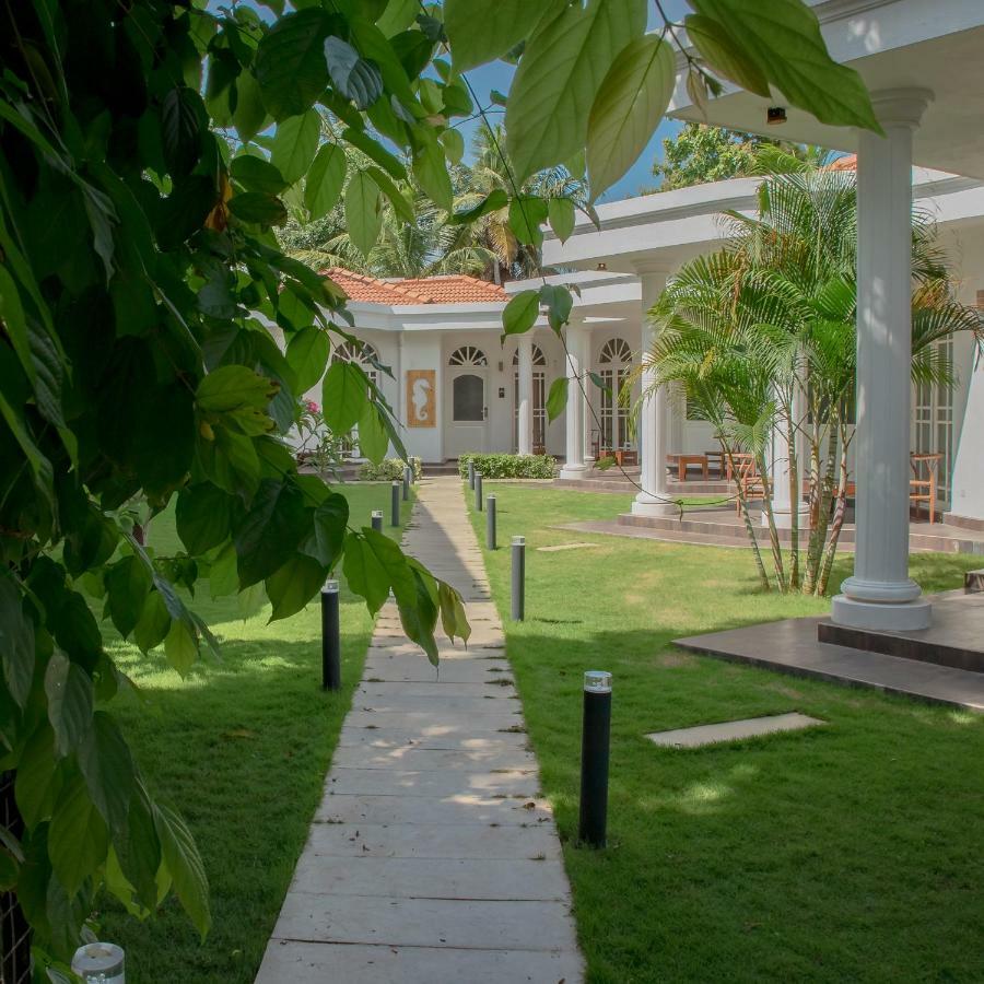 Seahorse Hotel & Spa Негомбо Экстерьер фото